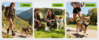 2-in-1 Portable Dog Water Bottle – Stainless Steel & Silicone Travel Bottle for Dogs