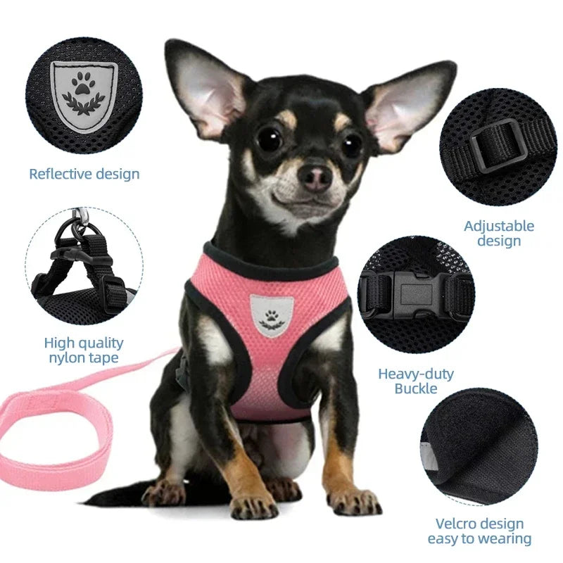 Cat & Dog Harness Vest – Soft Mesh Adjustable Walking Harness with Lead