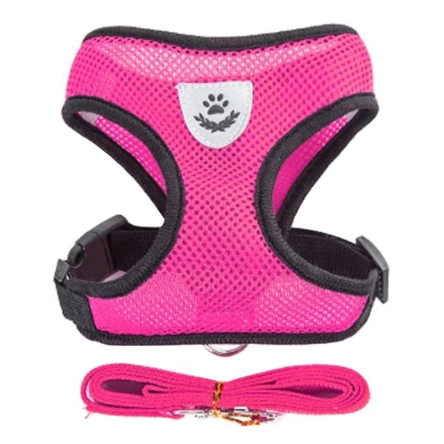 Cat & Dog Harness Vest – Soft Mesh Adjustable Walking Harness with Lead