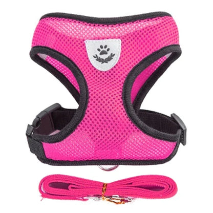 Cat & Dog Harness Vest – Soft Mesh Adjustable Walking Harness with Lead
