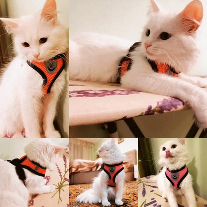 Cat & Dog Harness Vest – Soft Mesh Adjustable Walking Harness with Lead