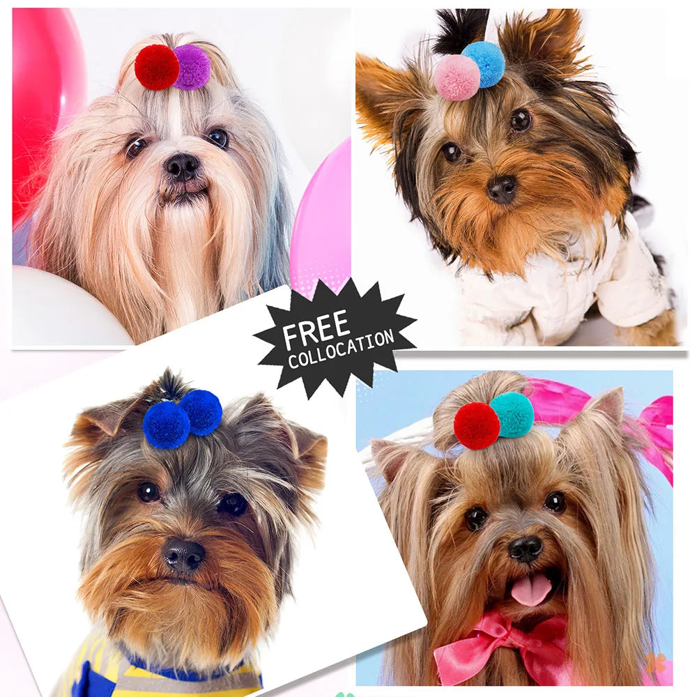 Cute Dog Hair Bows – Colourful Grooming Accessories for Small Dogs
