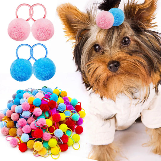 Cute Dog Hair Bows – Colourful Grooming Accessories for Small Dogs