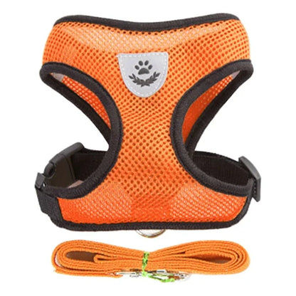 Cat & Dog Harness Vest – Soft Mesh Adjustable Walking Harness with Lead