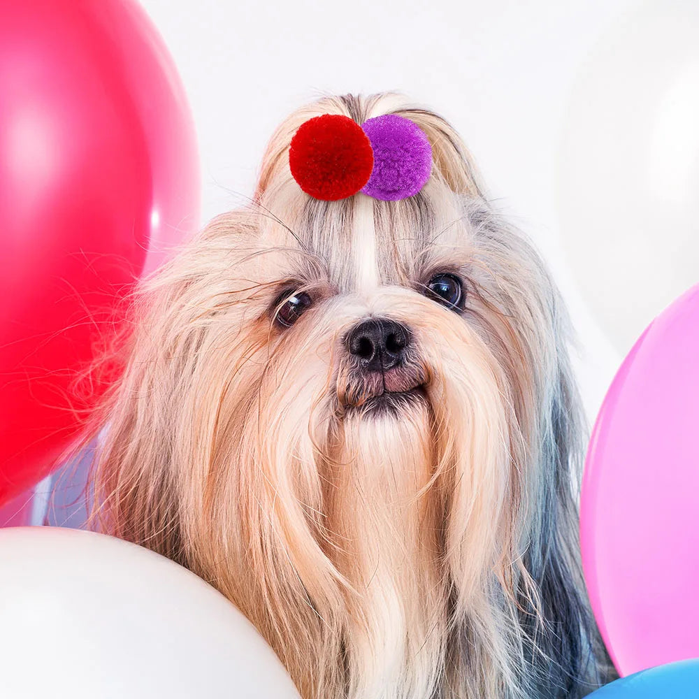Cute Dog Hair Bows – Colourful Grooming Accessories for Small Dogs