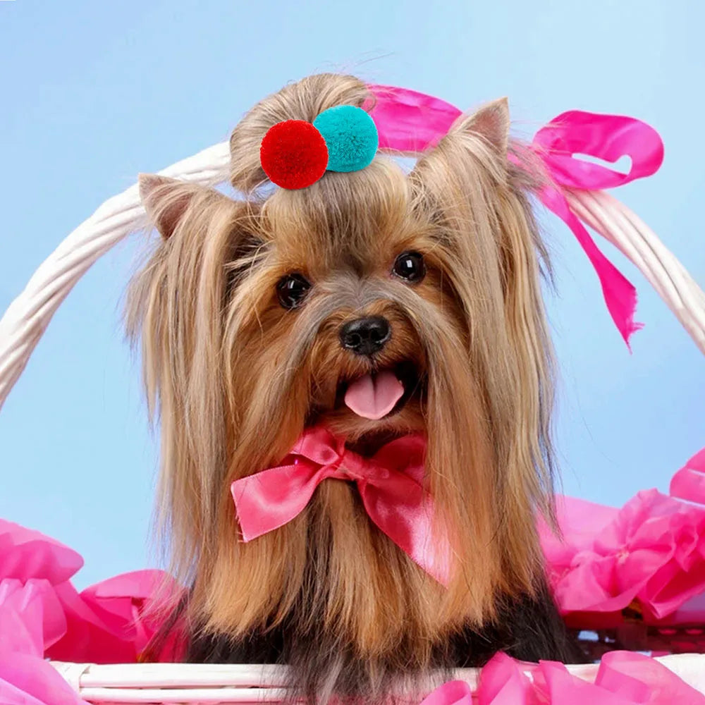 Cute Dog Hair Bows – Colourful Grooming Accessories for Small Dogs