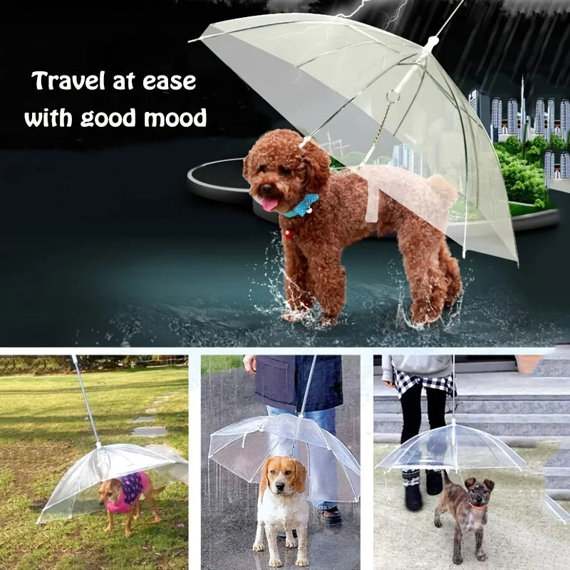 Dog Umbrella Leash – Keep Your Pup Dry on Rainy Walks