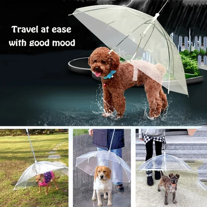 Dog Umbrella Leash – Keep Your Pup Dry on Rainy Walks