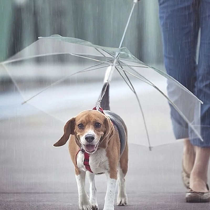 Dog Umbrella Leash – Keep Your Pup Dry on Rainy Walks