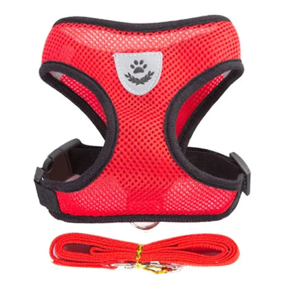 Cat & Dog Harness Vest – Soft Mesh Adjustable Walking Harness with Lead