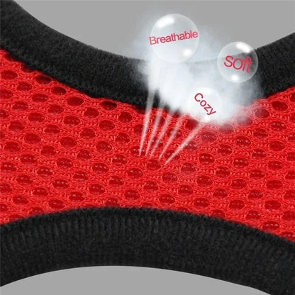 Cat & Dog Harness Vest – Soft Mesh Adjustable Walking Harness with Lead
