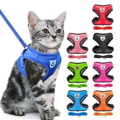 Cat & Dog Harness Vest – Soft Mesh Adjustable Walking Harness with Lead