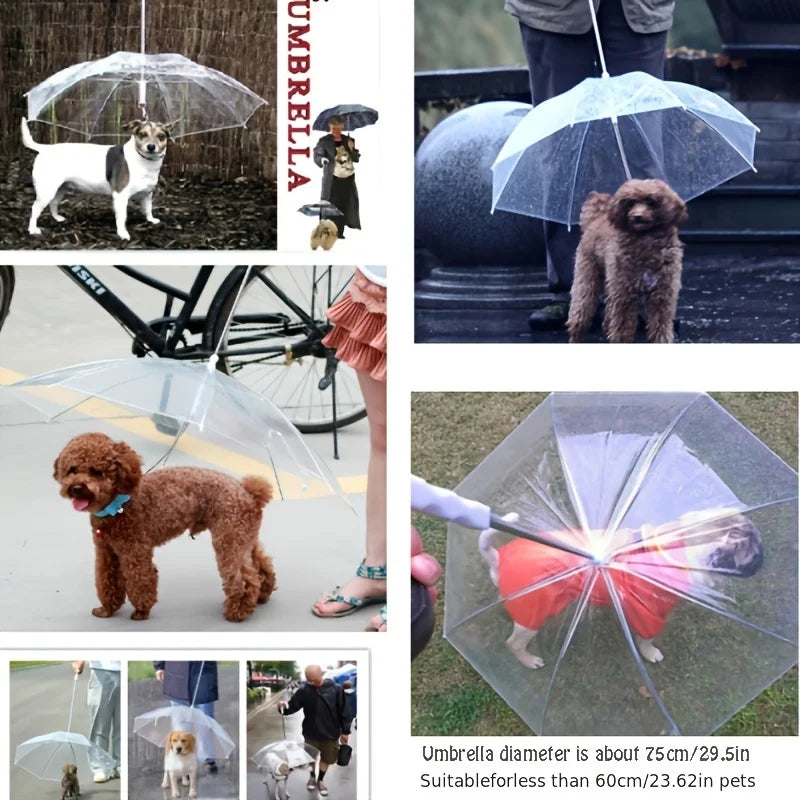 Dog Umbrella Leash – Keep Your Pup Dry on Rainy Walks