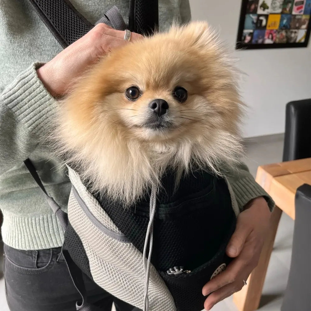 Hands-Free Pet Sling Carrier – Breathable Mesh Bag for Cats & Small Dogs