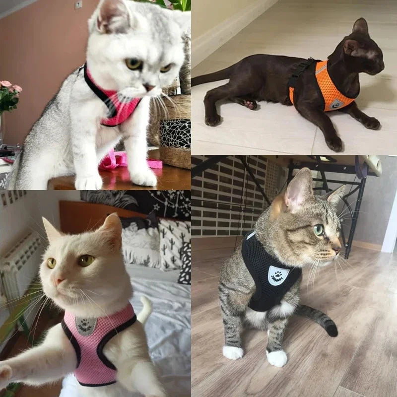 Cat & Dog Harness Vest – Soft Mesh Adjustable Walking Harness with Lead