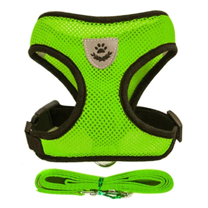 Cat & Dog Harness Vest – Soft Mesh Adjustable Walking Harness with Lead