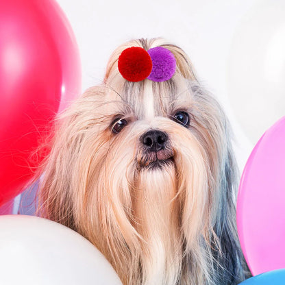 Cute Dog Hair Bows – Colourful Grooming Accessories for Small Dogs